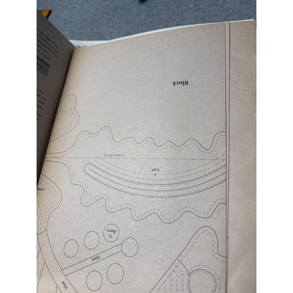 Coxcomb Quilt Pattern Book by Donna Hanson Eines for Heirloom Quilts Techniques - Picture 3 of 4